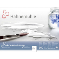 Hahnemuhle, Harmony Harmony 300gr. 30x40cm.  Grana ruvida
