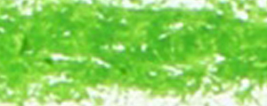 Renesans, Oil Pastel Verde chiaro