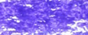 Renesans, Oil Pastel Viola Blu